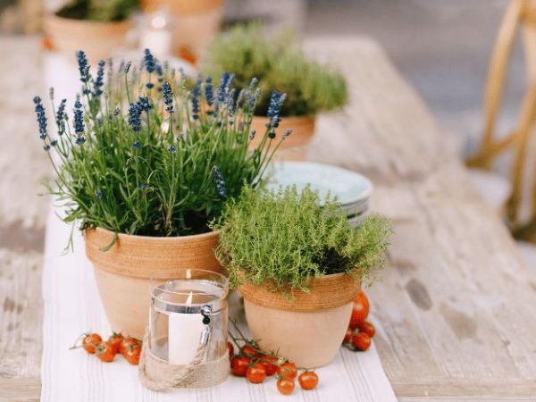 Květináče | PartyHomeDecor.cz